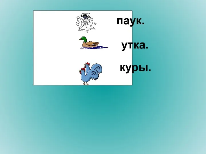 паук. утка. куры.