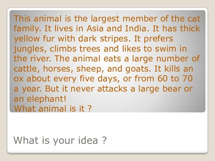 What is your idea ? This animal is the largest member of the