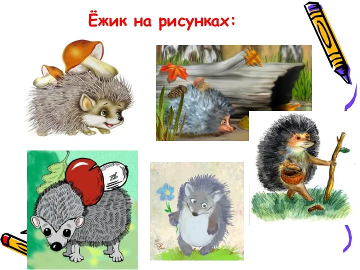 Ёжик на рисунках: