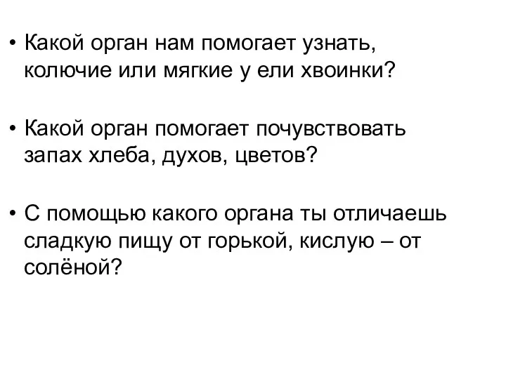 Какой орган нам помогает узнать, колючие или мягкие у ели