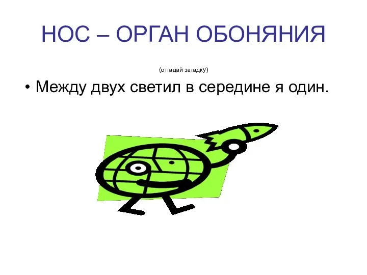 НОС – ОРГАН ОБОНЯНИЯ (отгадай загадку) Между двух светил в середине я один.