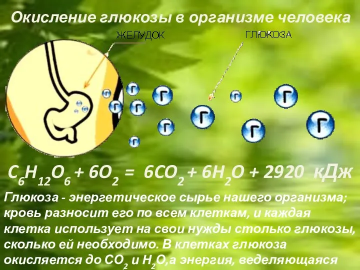 C6H12O6 + 6O2 = 6CO2 + 6H2O + 2920 кДж