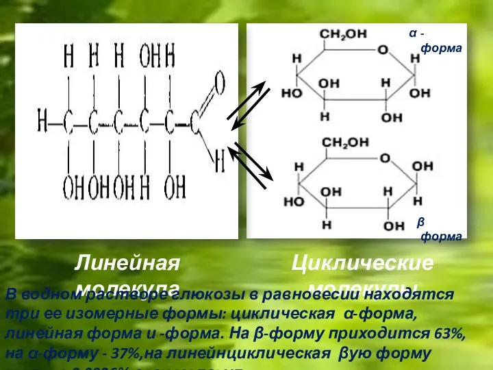 Линейная молекула Циклические молекулы В водном растворе глюкозы в равновесии