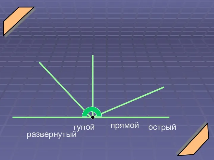 острый прямой тупой развернутый