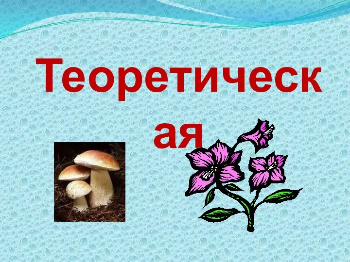 Теоретическая