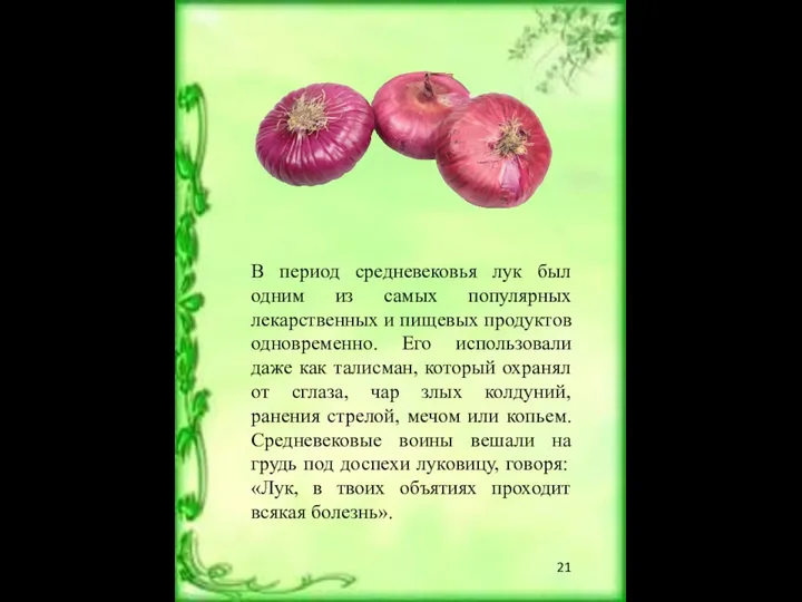 В период средневековья лук был одним из самых популярных лекарственных и пищевых продуктов