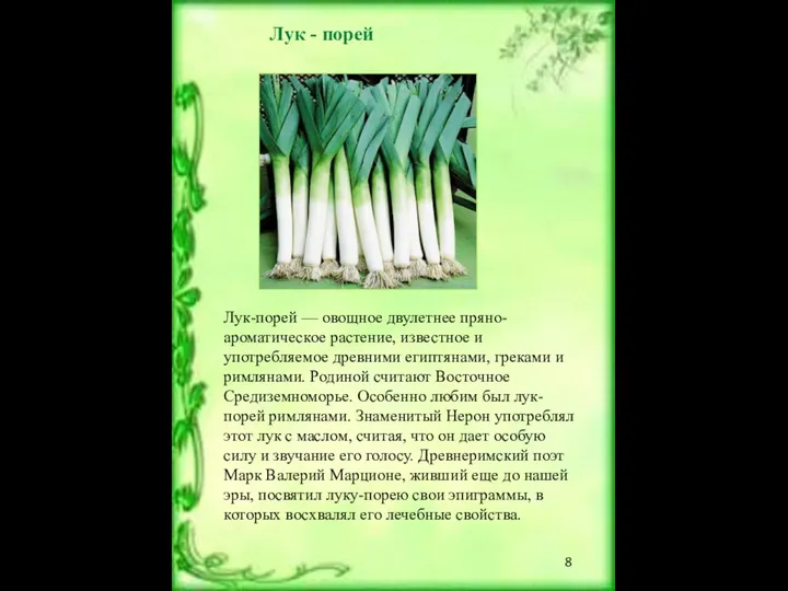 Лук - порей Лук-порей — овощное двулетнее пряно-ароматическое растение, известное и употребляемое древними