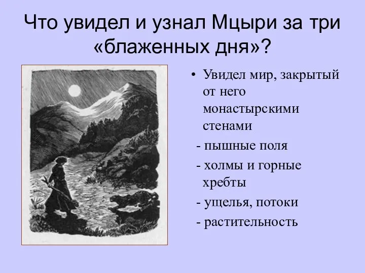 Что увидел и узнал Мцыри за три «блаженных дня»? Увидел