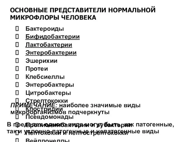 ОСНОВНЫЕ ПРЕДСТАВИТЕЛИ НОРМАЛЬНОЙ МИКРОФЛОРЫ ЧЕЛОВЕКА Бактероиды Бифидобактерии Лактобактерии Энтеробактерии Эшерихии