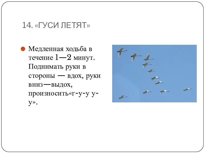 14. «ГУСИ ЛЕТЯТ» Медленная ходьба в течение 1—2 минут. Поднимать руки в стороны