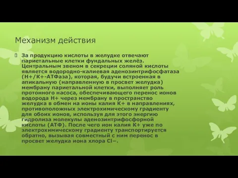 Механизм действия За продукцию кислоты в желудке отвечают париетальные клетки