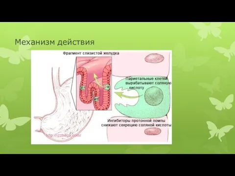 Механизм действия