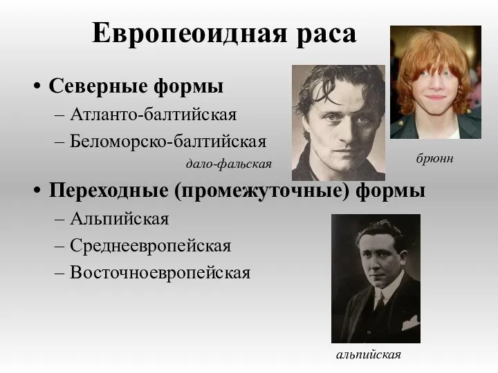 Европеоидная раса Северные формы Атланто-балтийская Беломорско-балтийская дало-фальская Переходные (промежуточные) формы Альпийская Среднеевропейская Восточноевропейская брюнн альпийская