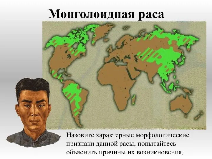 Монголоидная раса Назовите характерные морфологические признаки данной расы, попытайтесь объяснить причины их возникновения.