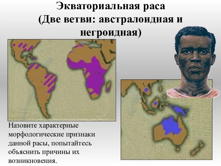 Экваториальная раса (Две ветви: австралоидная и негроидная) Назовите характерные морфологические