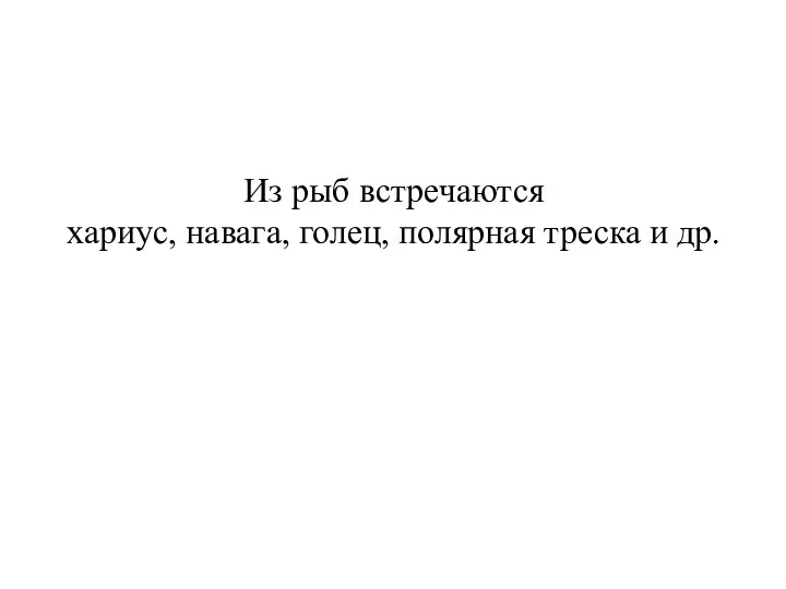 Из рыб встречаются хариус, навага, голец, полярная треска и др.