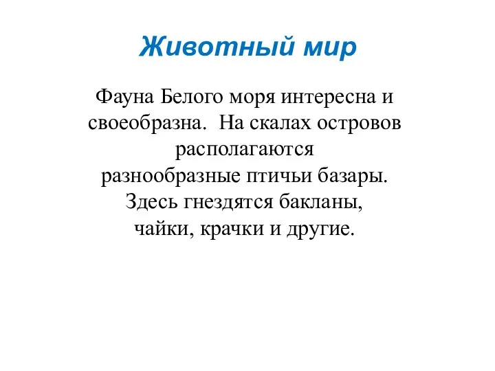 Животный мир Фауна Белого моря интересна и своеобразна. На скалах