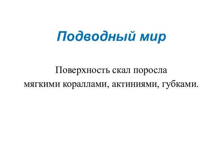 Подводный мир Поверхность скал поросла мягкими кораллами, актиниями, губками.