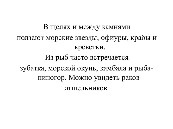 В щелях и между камнями ползают морские звезды, офиуры, крабы