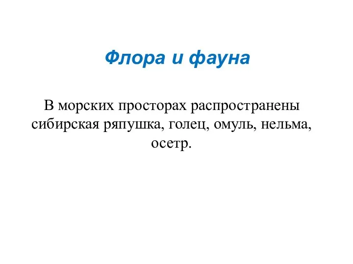 Флора и фауна В морских просторах распространены сибирская ряпушка, голец, омуль, нельма, осетр.