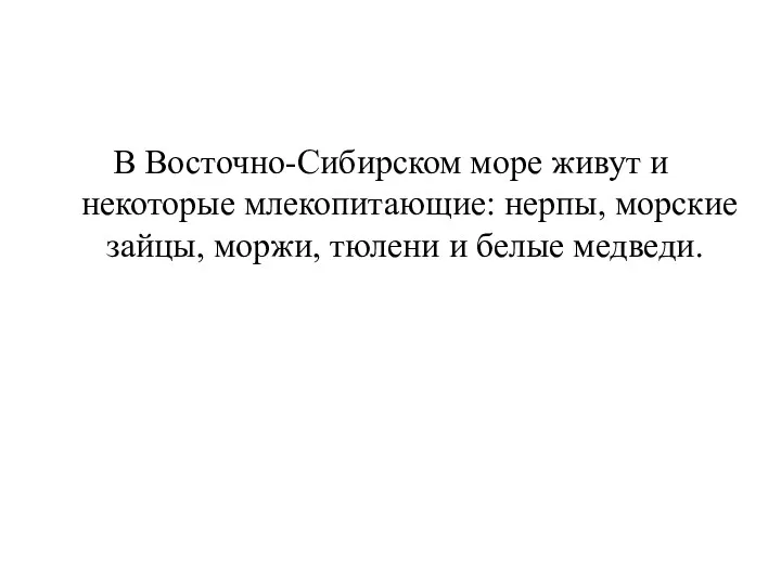 В Восточно-Сибирском море живут и некоторые млекопитающие: нерпы, морские зайцы, моржи, тюлени и белые медведи.