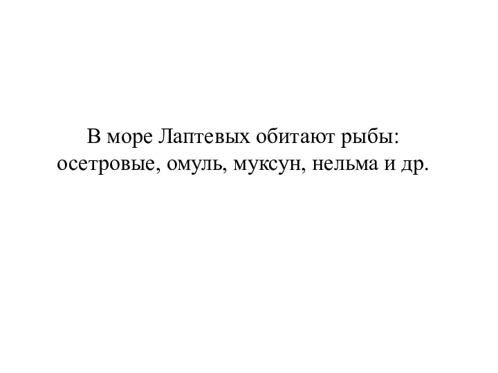 В море Лаптевых обитают рыбы: осетровые, омуль, муксун, нельма и др.