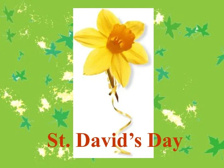 St. David’s Day