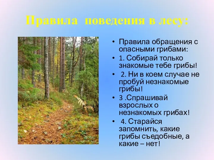 Правила поведения в лесу: Правила обращения с опасными грибами: 1. Собирай только знакомые