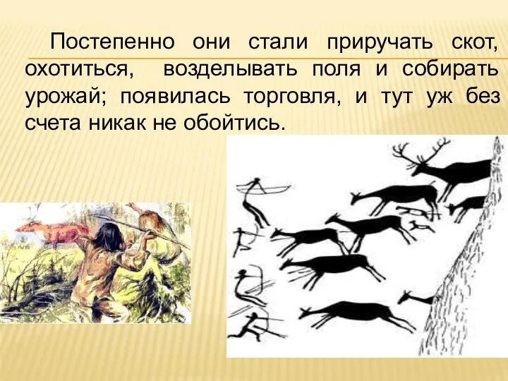 Постепенно они стали приручать скот, охотиться, возделывать поля и собирать