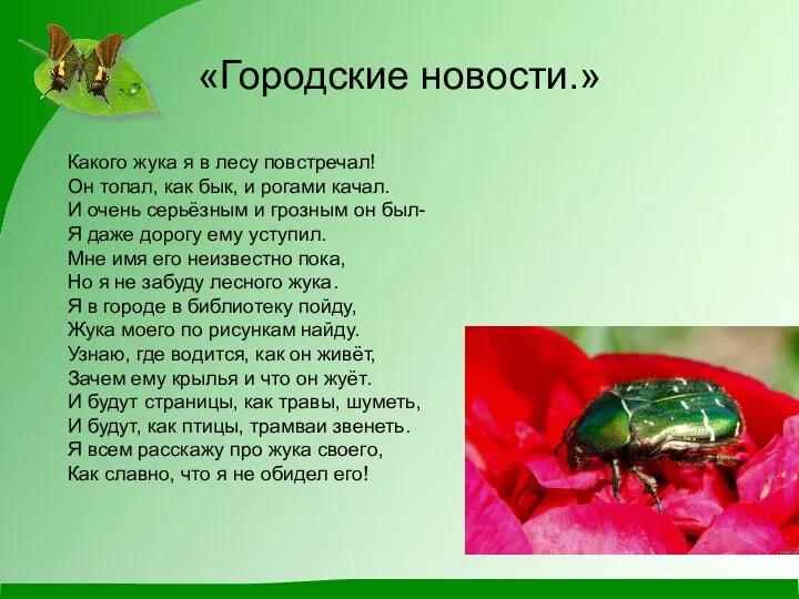 «Городские новости.» Какого жука я в лесу повстречал! Он топал,