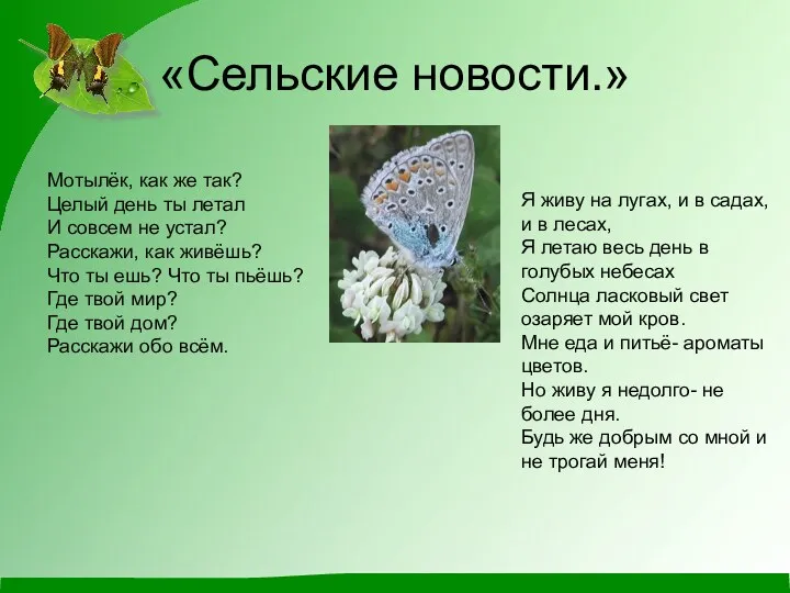 «Сельские новости.» Мотылёк, как же так? Целый день ты летал