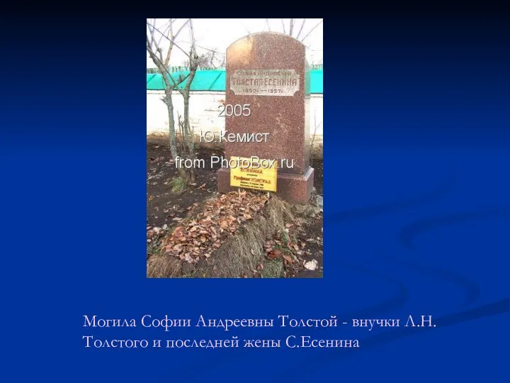 Могила Софии Андреевны Толстой - внучки Л.Н.Толстого и последней жены С.Есенина