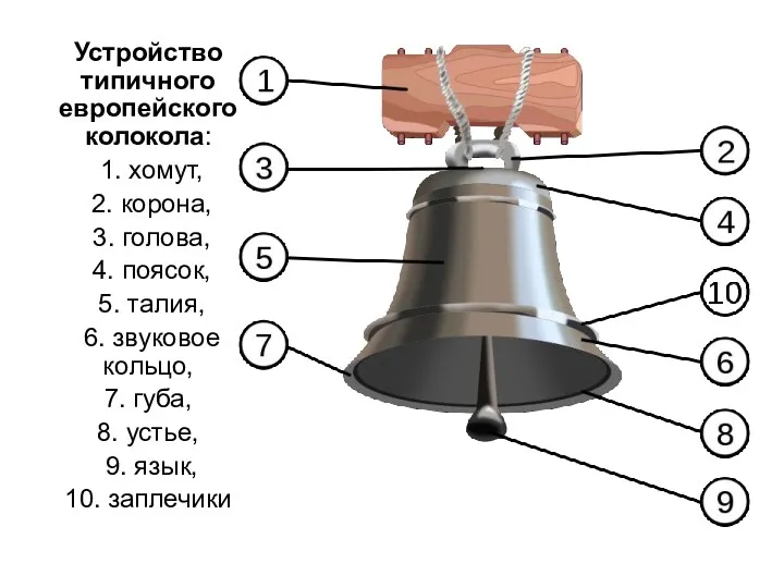 Устройство типичного европейского колокола: 1. хомут, 2. корона, 3. голова,