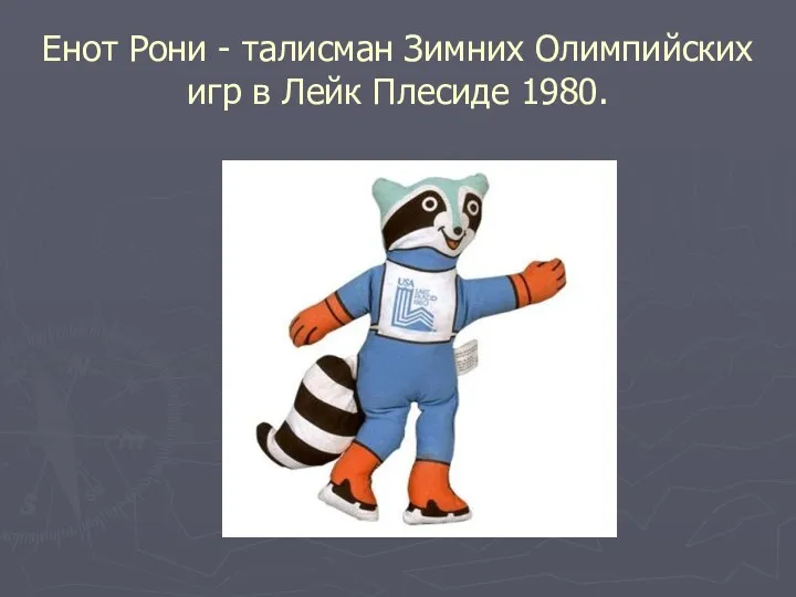 Енот Рони - талисман Зимних Олимпийских игр в Лейк Плесиде 1980.