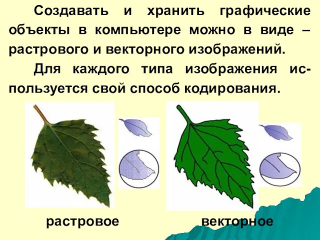 Создавать и хранить графические объекты в компьютере можно в виде