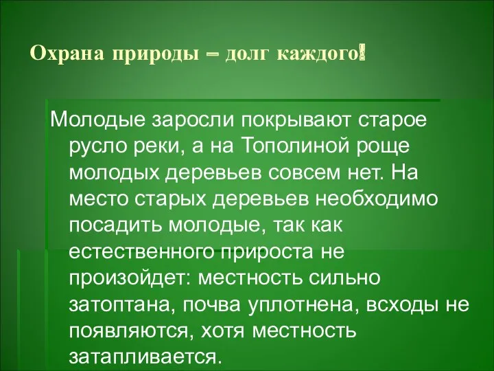 Охрана природы – долг каждого! Молодые заросли покрывают старое русло