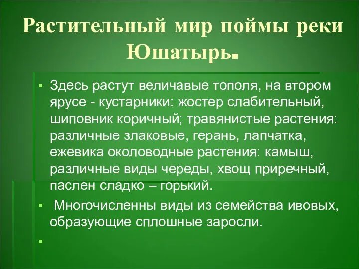 Растительный мир поймы реки Юшатырь. Здесь растут величавые тополя, на