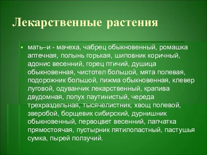 Лекарственные растения мать–и - мачеха, чабрец обыкновенный, ромашка аптечная, полынь