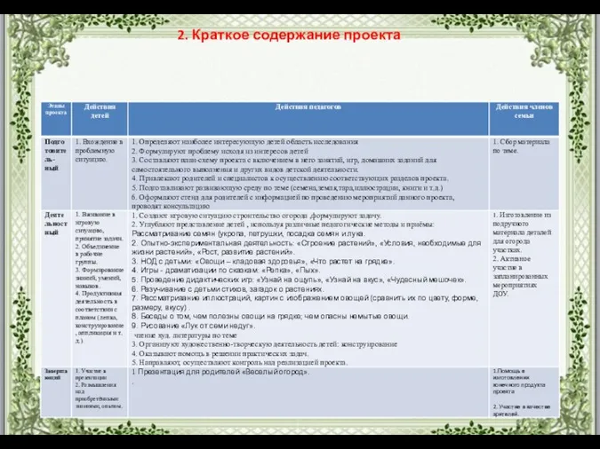 2. Краткое содержание проекта