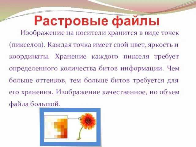 Растровые файлы Изображение на носители хранится в виде точек (пикселов).