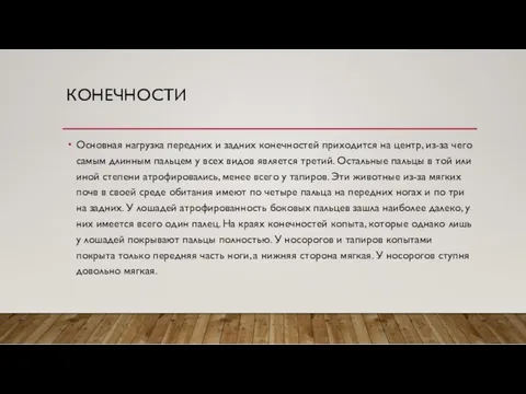 КОНЕЧНОСТИ Основная нагрузка передних и задних конечностей приходится на центр,