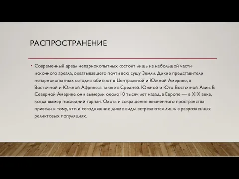 РАСПРОСТРАНЕНИЕ Современный ареал непарнокопытных состоит лишь из небольшой части исконного