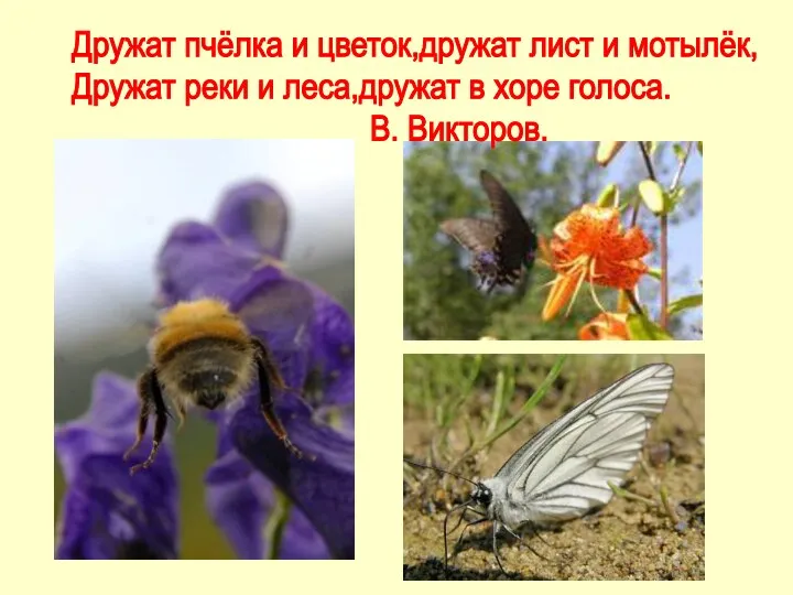 Дружат пчёлка и цветок,дружат лист и мотылёк, Дружат реки и леса,дружат в хоре голоса. В. Викторов.