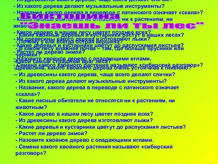 - Какие хвойные деревья и кустарники растут в наших лесах?