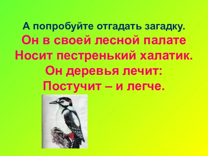 А попробуйте отгадать загадку. Он в своей лесной палате Носит