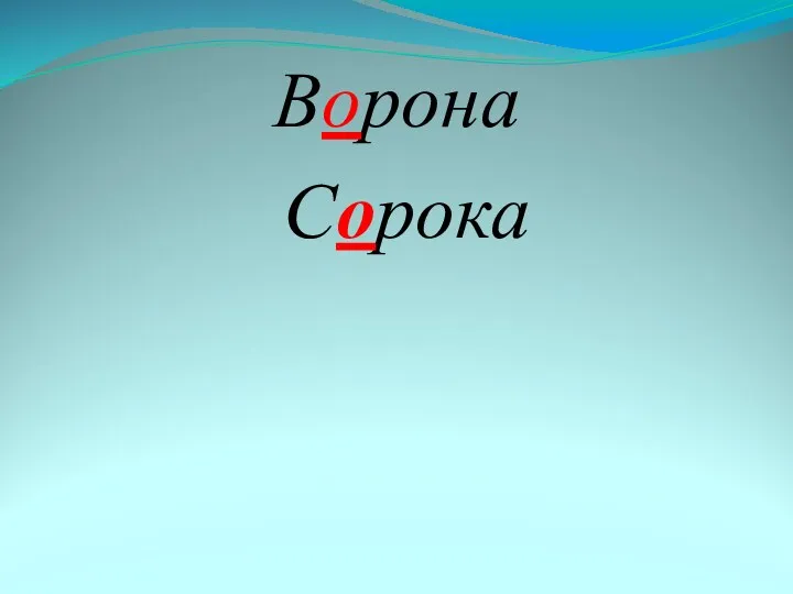 Ворона Сорока