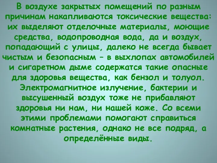 В воздухе закрытых помещений по разным причинам накапливаются токсические вещества: