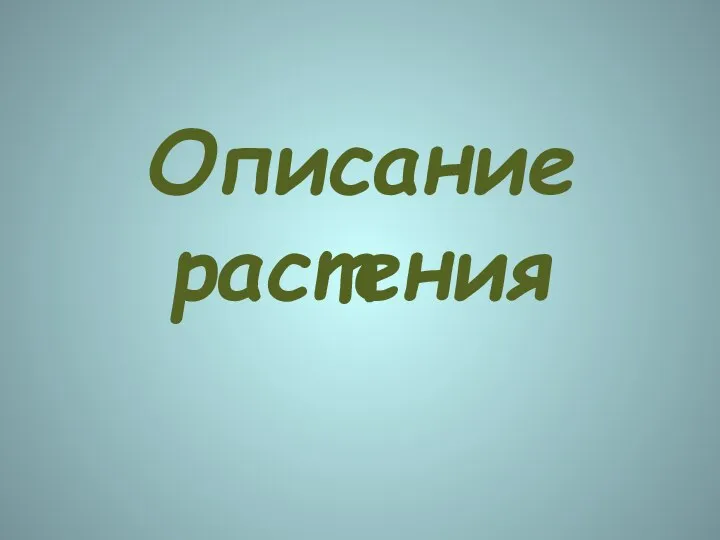 Описание растения