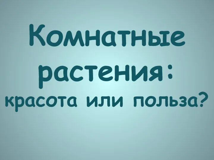 Комнатные растения: красота или польза?