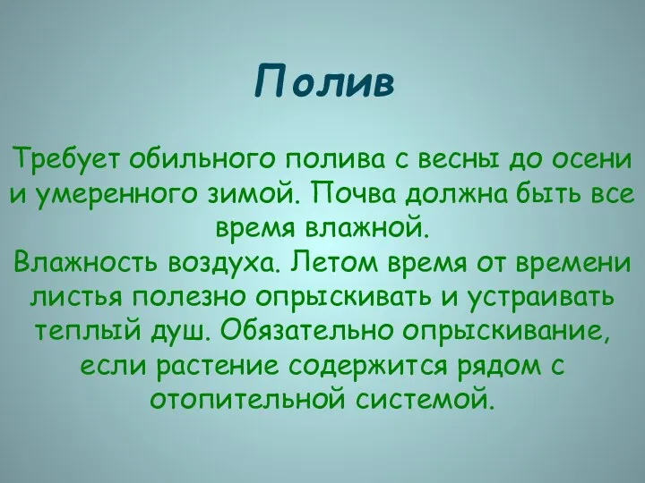 Полив Требует обильного полива с весны до осени и умеренного